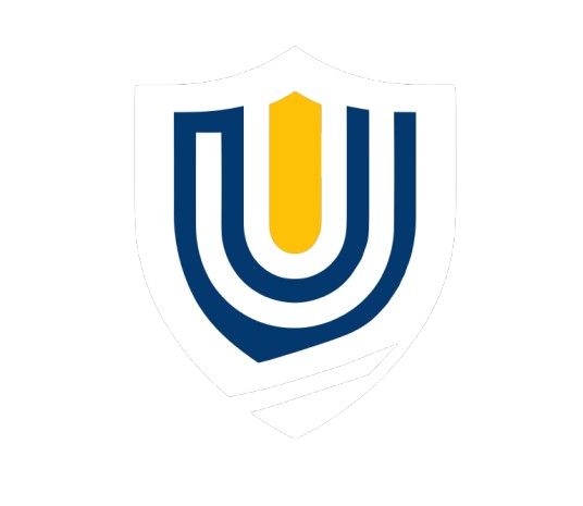 UdeLink